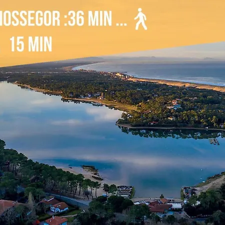 * Hossegor * Cosy * 100m * Ideale Couple * 索尔特奥瑟戈尔