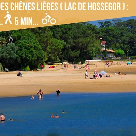 * Hossegor * Cosy * 100m * Ideale Couple *